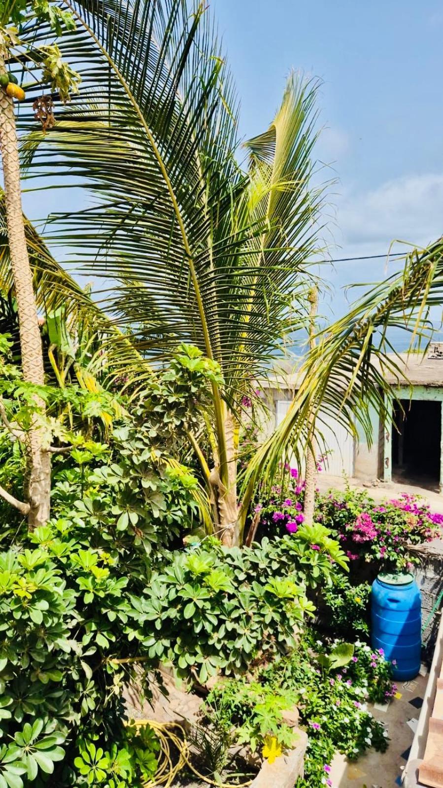 Casa Chiquinha Ribeira da Prata Exterior foto